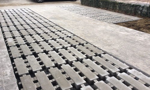 Project Te Rijmenami